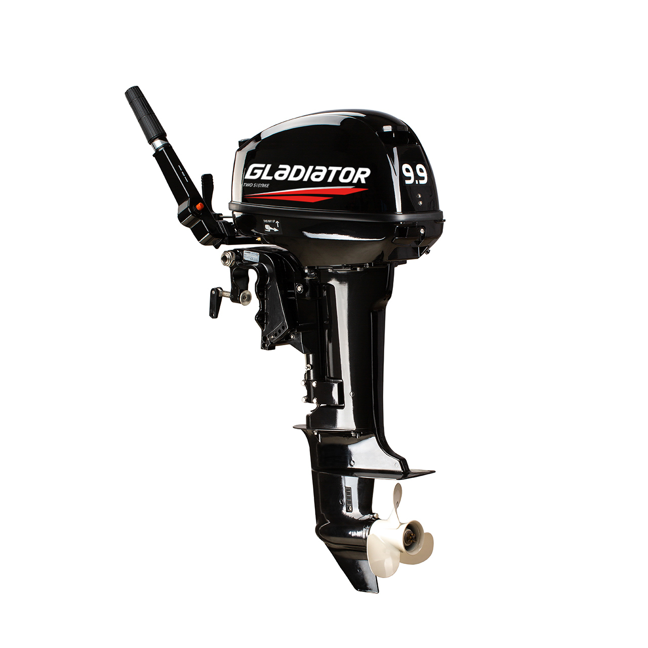 ЛОДОЧНЫЙ МОТОР GLADIATOR G9.9FHS в Шахтах