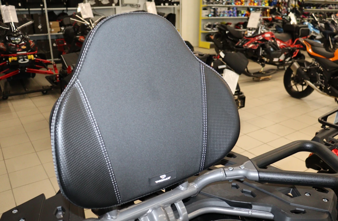 Квадроцикл PROMAX RENEGADE 300 LONG WINCH PRO (2025) в Шахтах