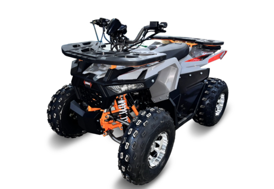 Квадроцикл GBM DAXTER 220 NEW PREMIUM в Шахтах