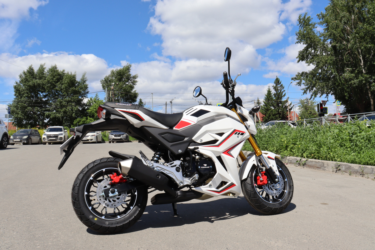 Мотоцикл PROMAX STRYKER 200(49) 2.0 в Шахтах