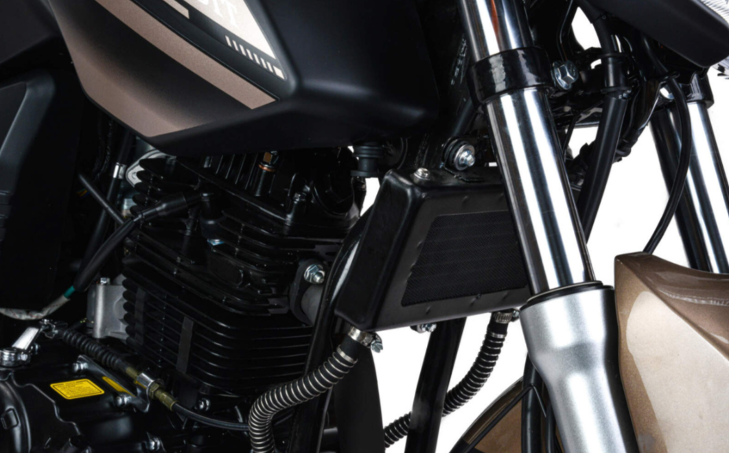 Мотоцикл MOTOLAND (МОТОЛЕНД) 300 BANDIT в Шахтах