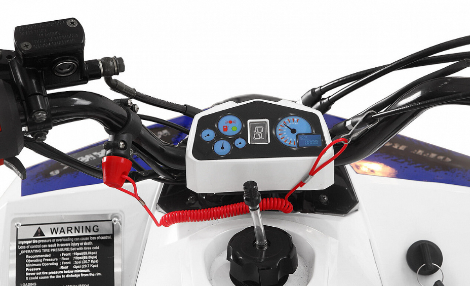 Квадроцикл Yacota Raposa 130 PRO-SPORT в Шахтах