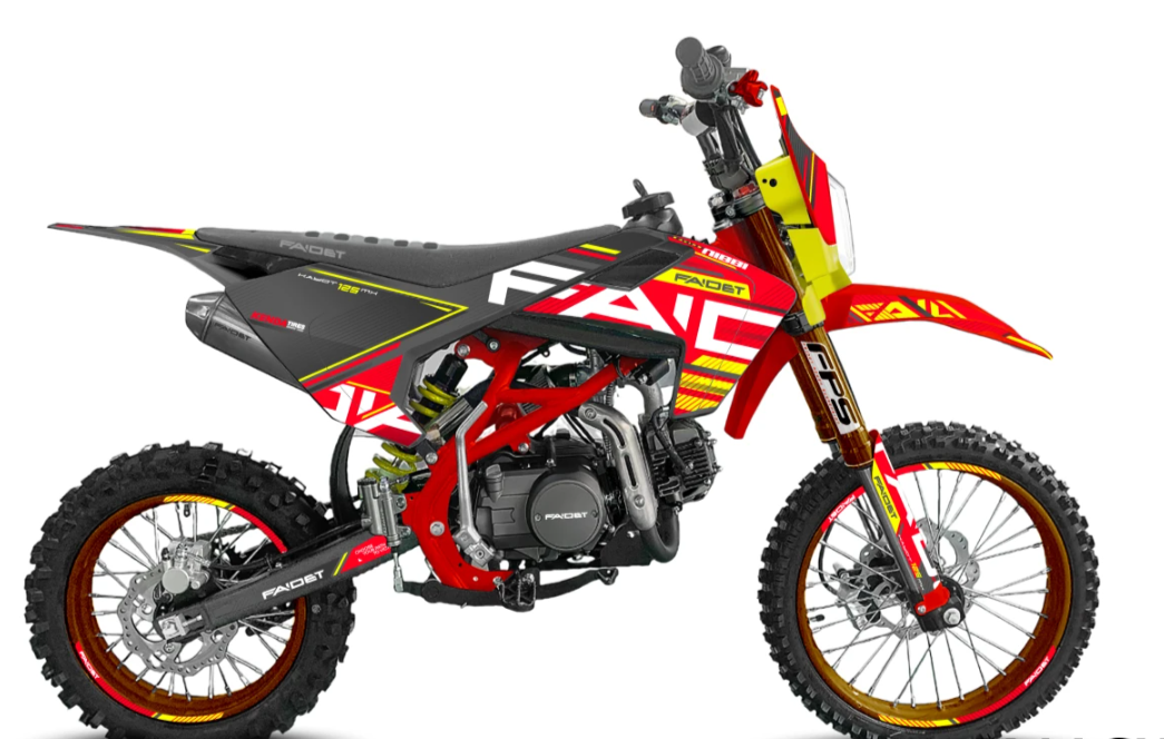 Питбайк FAIDET KAYOT 125E-PRO 17/14 в Шахтах