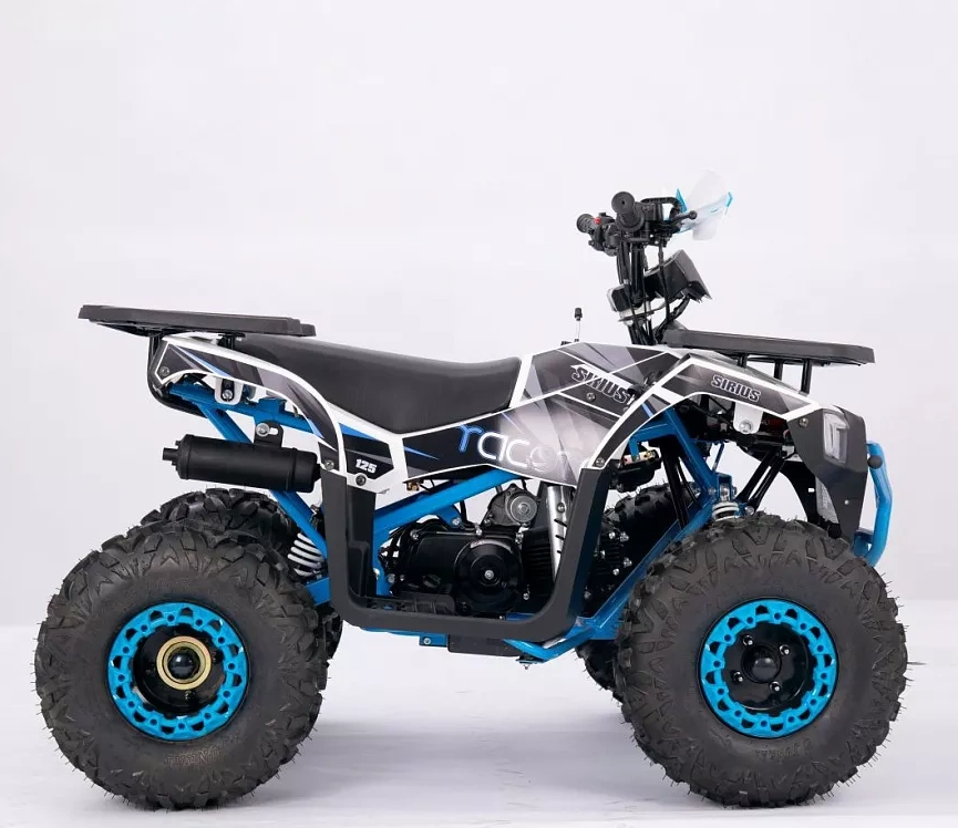 Квадроцикл YACOTA SIRIUS 110 в Шахтах