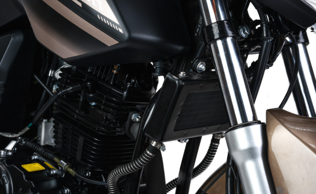 Мотоцикл MOTOLAND (МОТОЛЕНД) 300 BANDIT в Шахтах