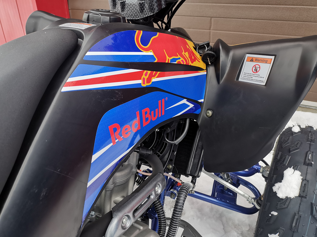 Квадроцикл PROMAX RAPTOR 300 NEW RedBull в Шахтах