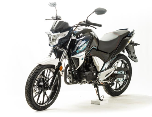 Мотоцикл MOTOLAND (МОТОЛЕНД) FIGHTER 250 в Шахтах