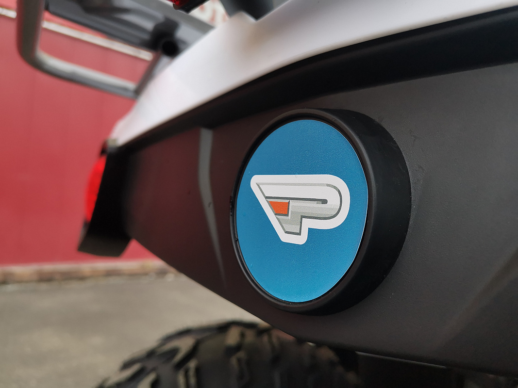 Квадроцикл PROMAX RENEGADE 280 LUX (2025) в Шахтах