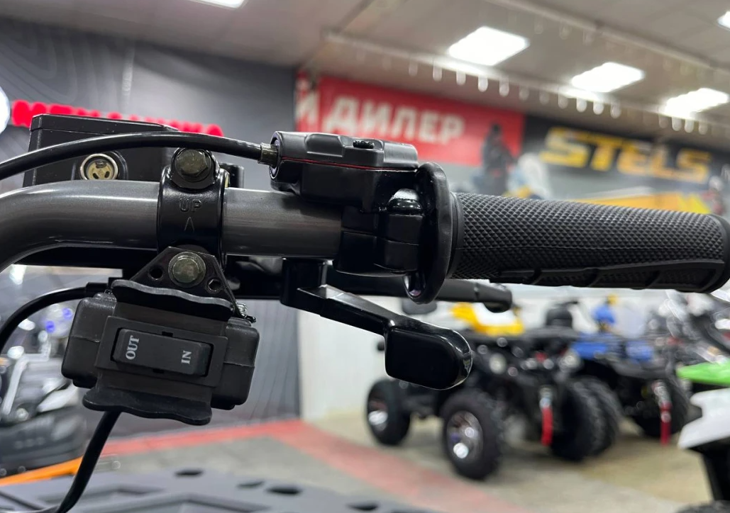 Квадроцикл PROMAX RENEGADE 300 LONG WINCH PRO (2025) в Шахтах