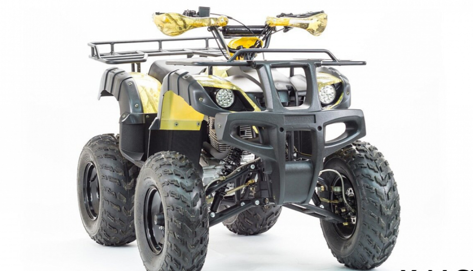 Квадроцикл MOTOLAND (МОТОЛЕНД) 250 ADVENTURE в Шахтах