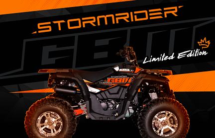 Квадроцикл GBM STORMRIDER 320 NEW LUX в Шахтах