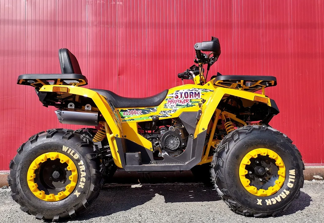 Квадроцикл PROMAX STORM 280 LUX в Шахтах