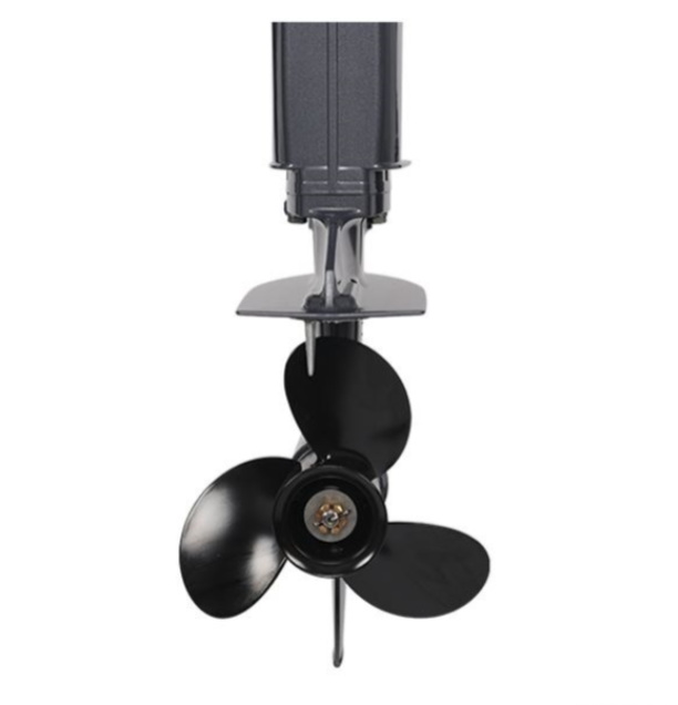 Лодочный мотор ALLFA CG Т40FW S в Шахтах