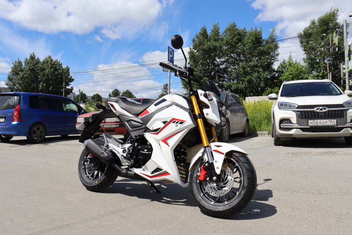 Мотоцикл PROMAX STRYKER 200(49) 2.0 в Шахтах