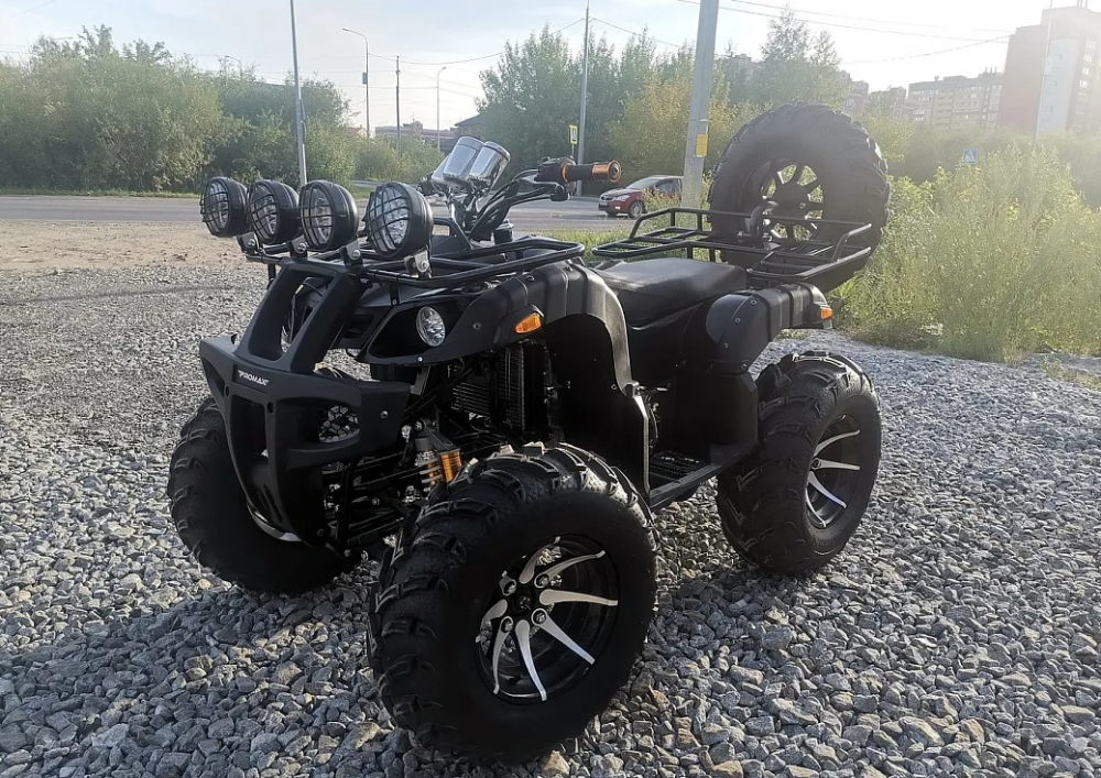 Квадроцикл PROMAX LEO 300 Max (кардан) в Шахтах
