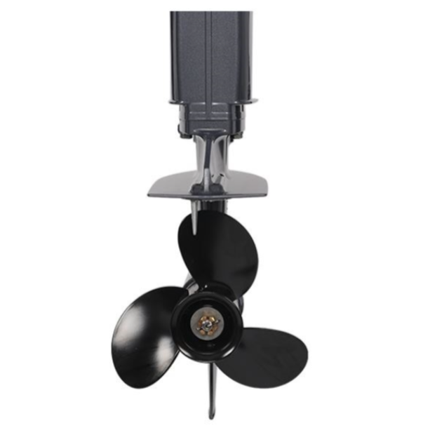 Лодочный мотор ALLFA CG Т40FWT S в Шахтах