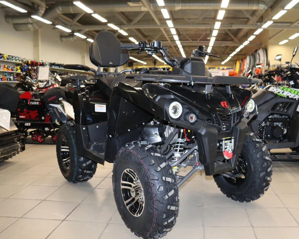Квадроцикл PROMAX RENEGADE 300 LONG WINCH PRO (2025) в Шахтах