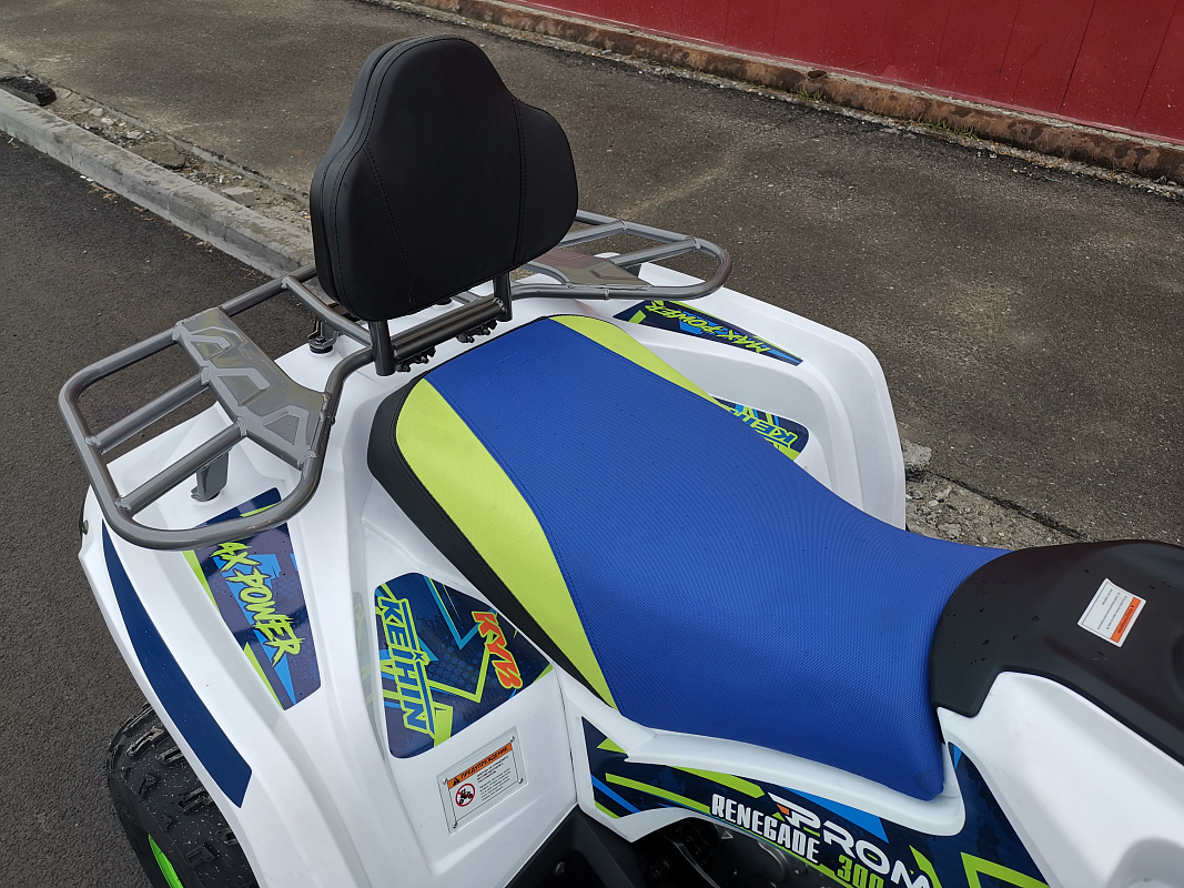 Квадроцикл PROMAX RENEGADE 280 LUX (2025) в Шахтах
