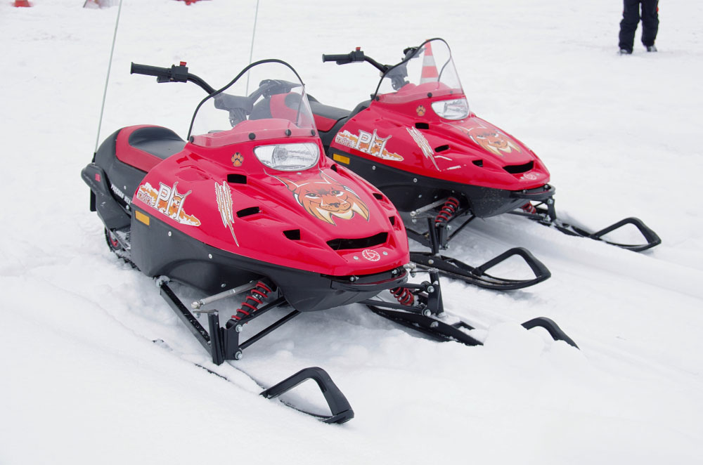 Снегоход РМ ТАЙГА РЫСЬ в Шахтах