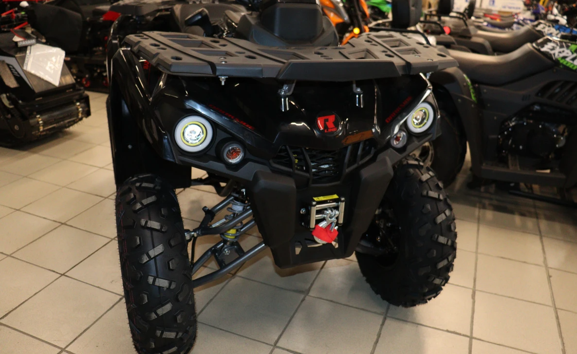 Квадроцикл PROMAX RENEGADE 300 LONG WINCH PRO (2025) в Шахтах