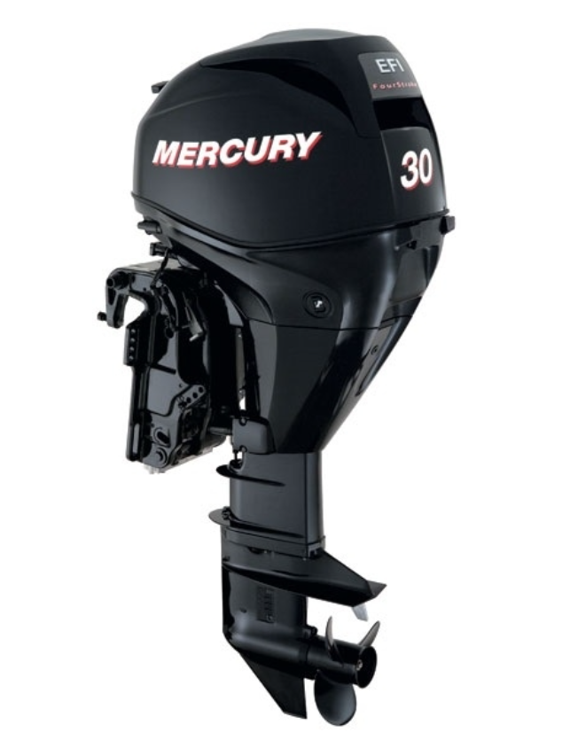ЛОДОЧНЫЙ МОТОР MERCURY  F 30 ELH GA EFI в Шахтах
