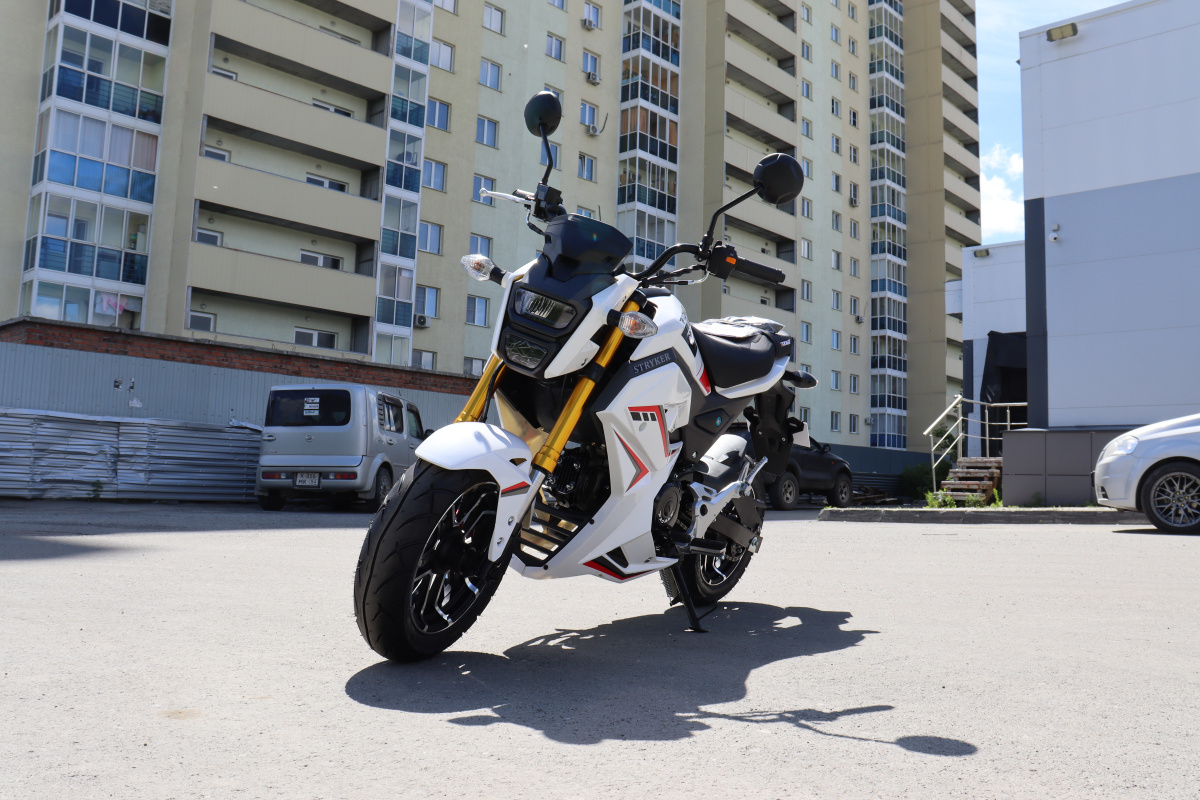 Мотоцикл PROMAX STRYKER 200(49) 2.0 в Шахтах