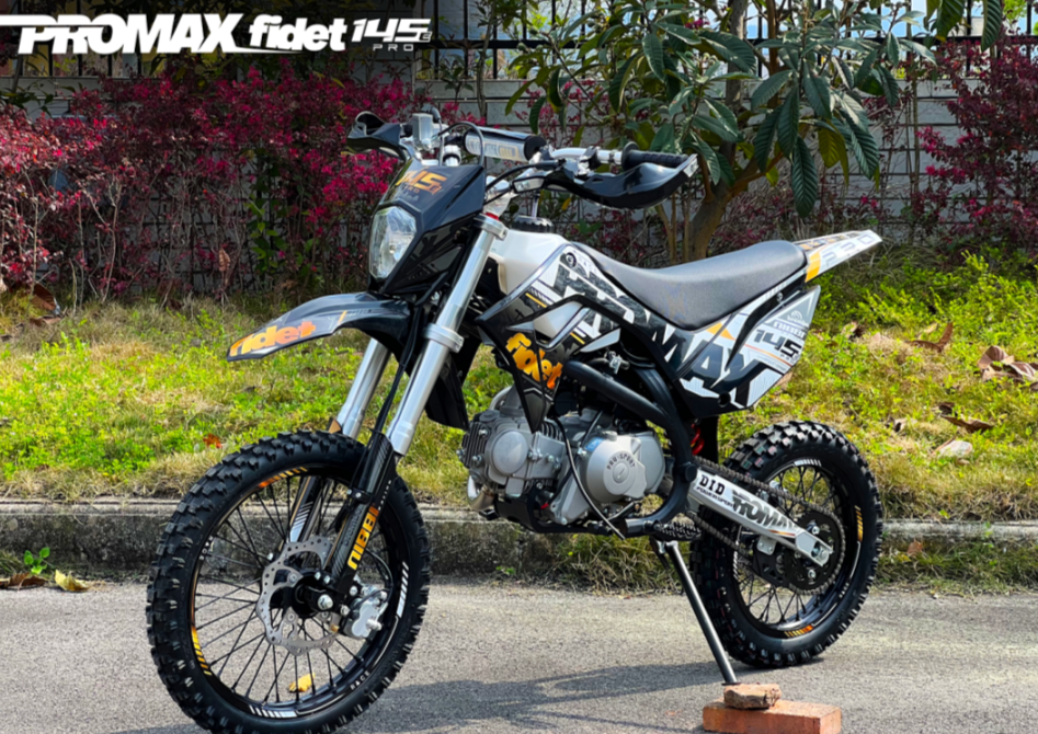 Мотоцикл (питбайк) PROMAX FIDET (ФАЙДЕТ) 145E PRO 17/14 в Шахтах