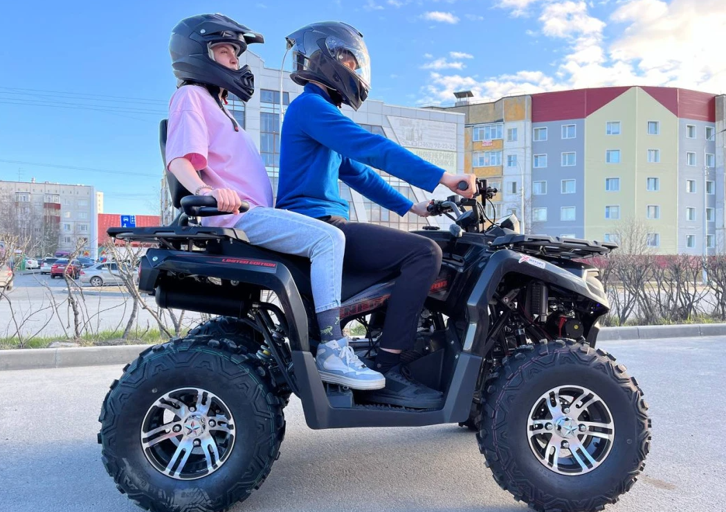 Квадроцикл PROMAX RENEGADE 300 LONG WINCH PRO (2025) в Шахтах