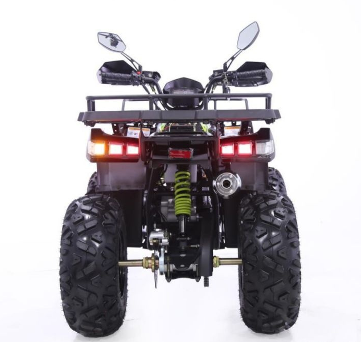 Квадроцикл YACOTA WARRIOR 200 PRO в Шахтах