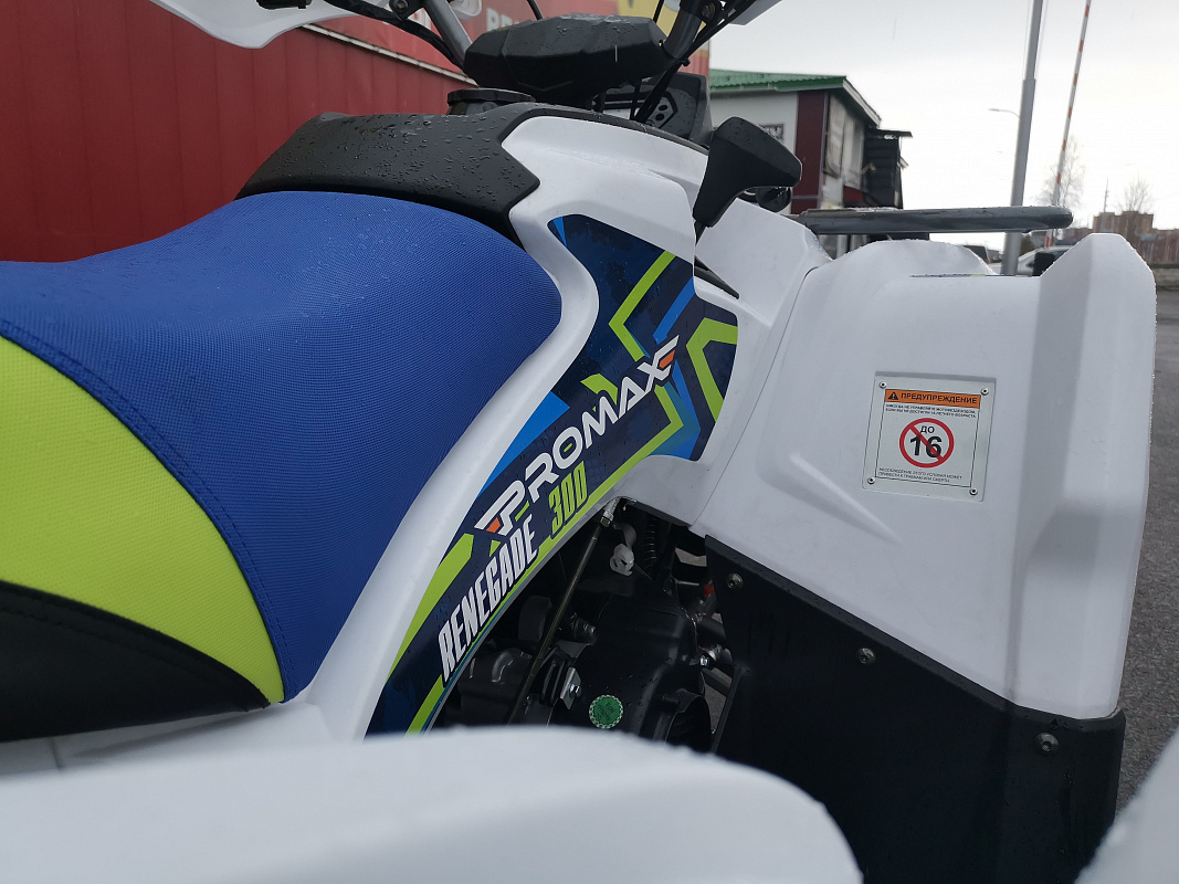 Квадроцикл PROMAX RENEGADE 280 LUX (2025) в Шахтах