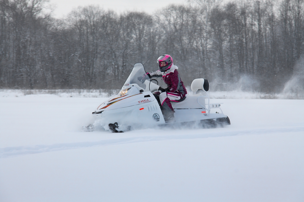 СНЕГОХОД РМ ТАЙГА ПАТРУЛЬ 551 SWT в Шахтах