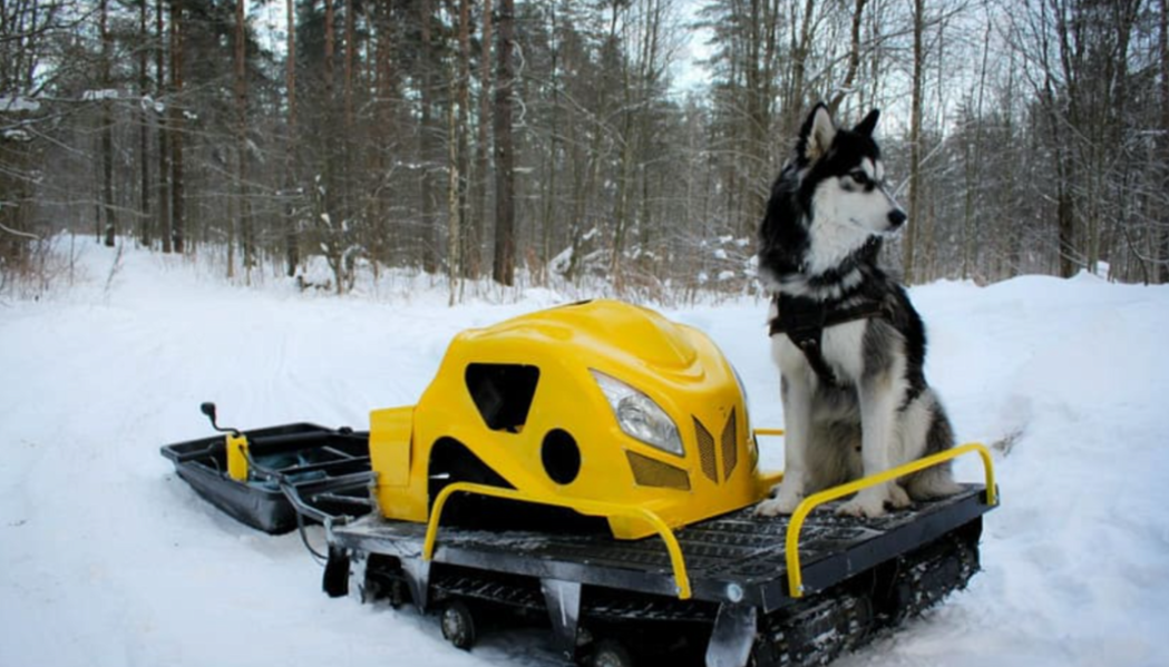 Мотобуксировщик LEBEDEV MOTORS ВОЛКОДАВ POWER V13 в Шахтах