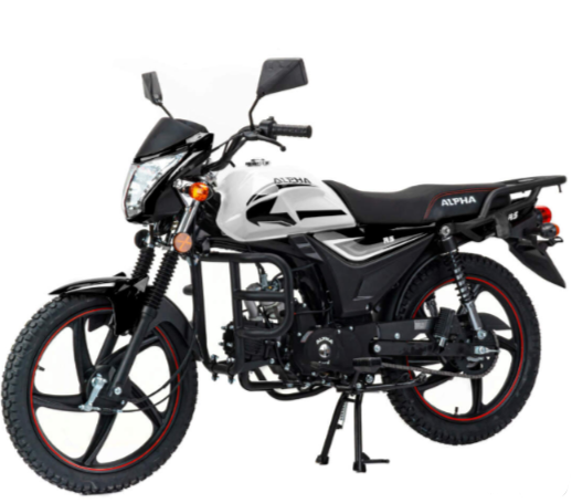 Мопед MOTOLAND (МОТОЛЕНД) Альфа RS 11 (LM48-B) в Шахтах