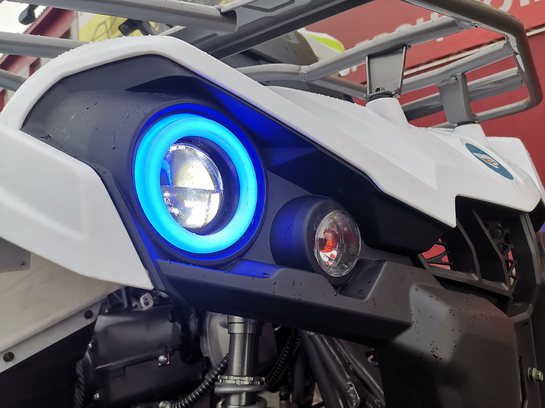 Квадроцикл PROMAX RENEGADE 280 LUX (2025) в Шахтах