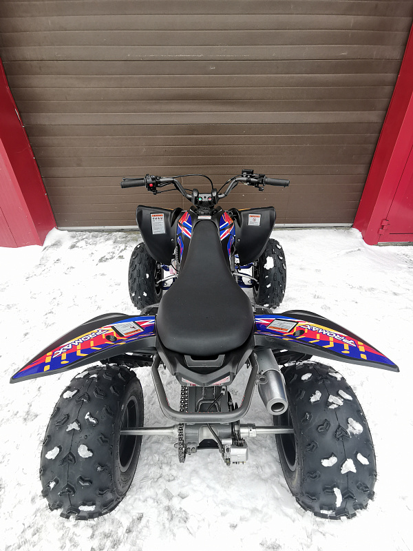 Квадроцикл PROMAX RAPTOR 300 NEW RedBull в Шахтах