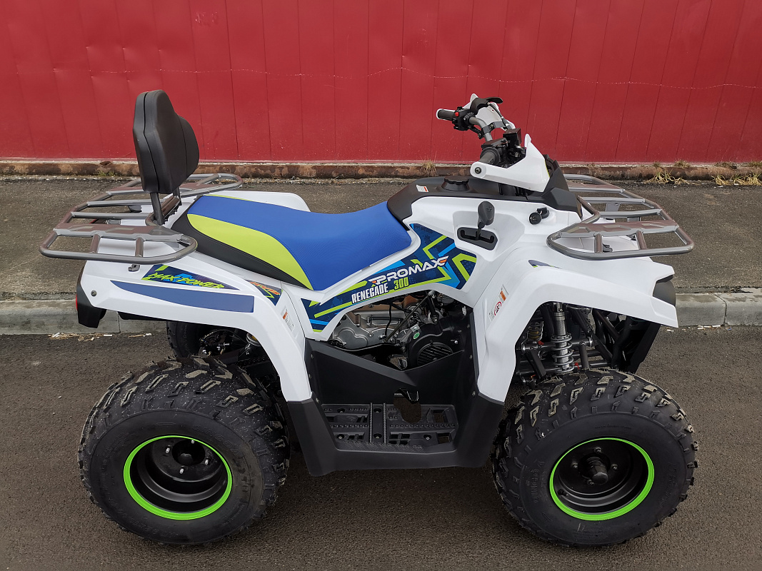 Квадроцикл PROMAX RENEGADE 280 LUX (2025) в Шахтах