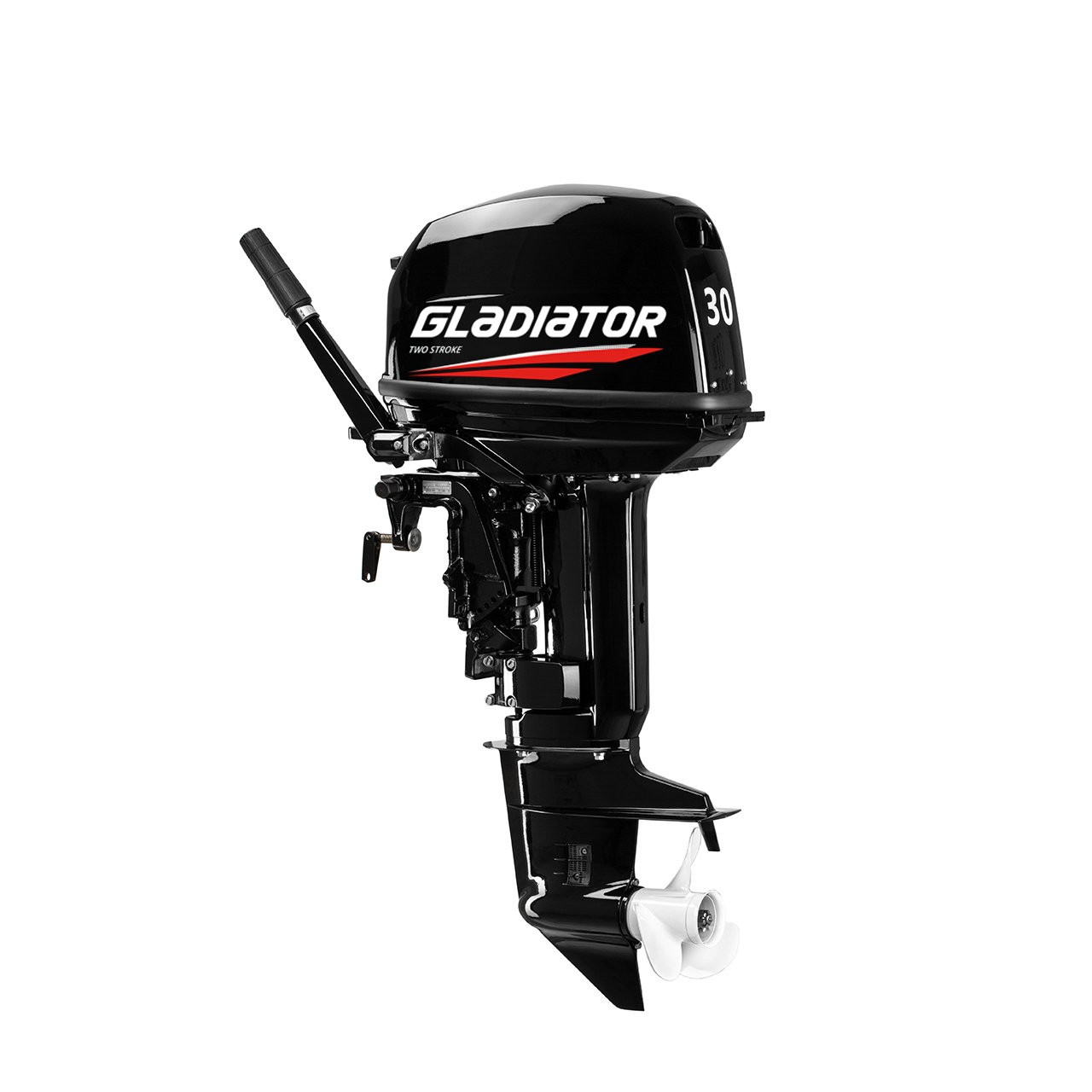 ЛОДОЧНЫЙ МОТОР GLADIATOR G30FHS в Шахтах