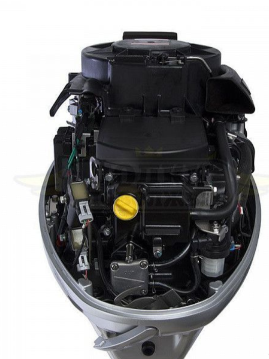 Лодочный мотор SEANOVO SNEF30FEL-EFI в Шахтах