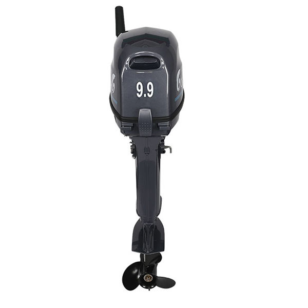 Лодочный мотор ALLFA CG Т9.9(20)MAX в Шахтах