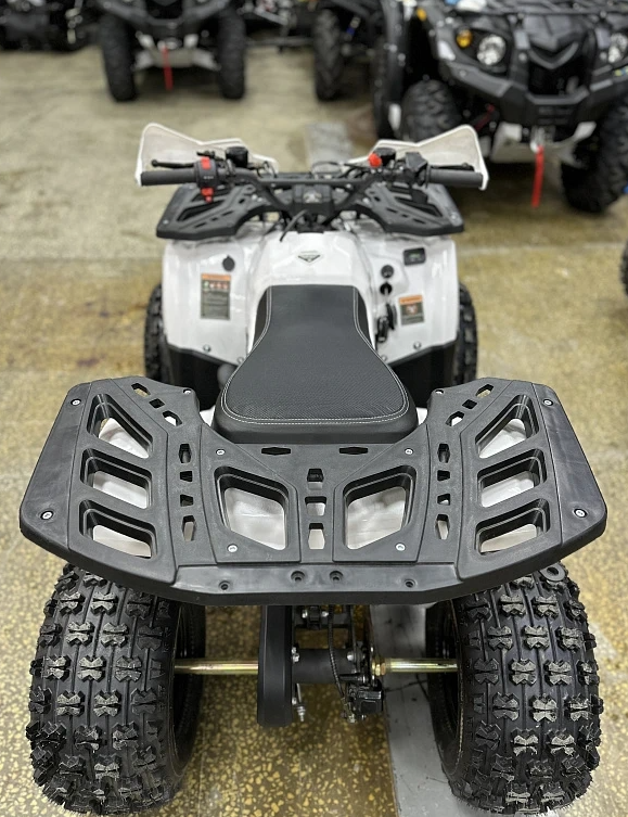 Квадроцикл PROMAX WILD 2.0 190 в Шахтах