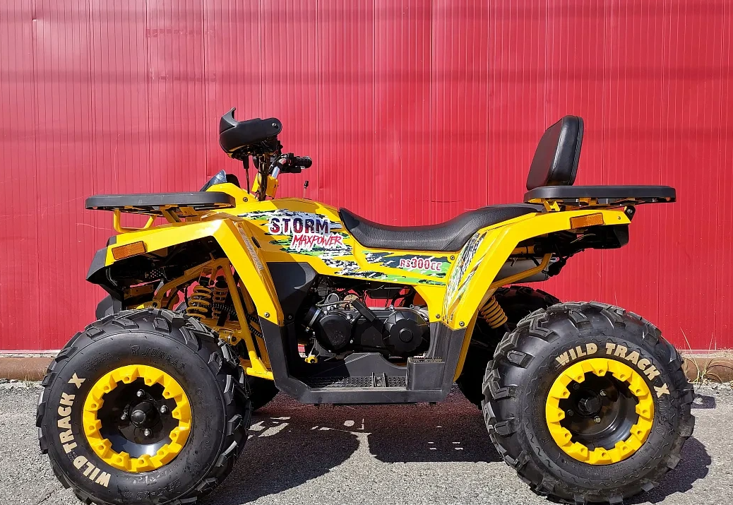 Квадроцикл PROMAX STORM 280 LUX в Шахтах