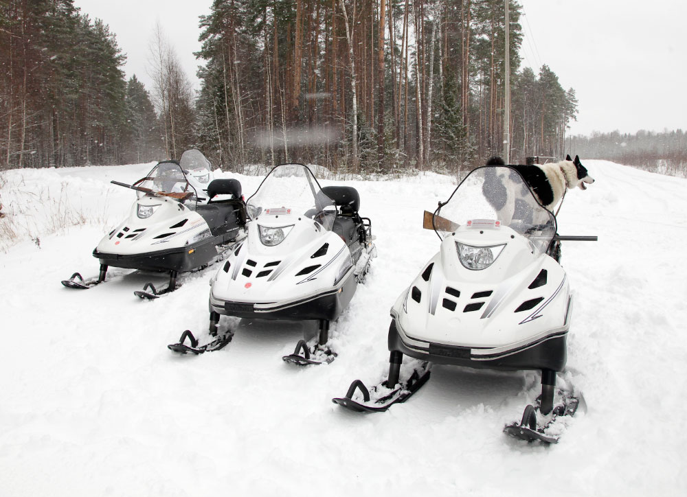 СНЕГОХОД РМ ТАЙГА ВАРЯГ 550 V в Шахтах