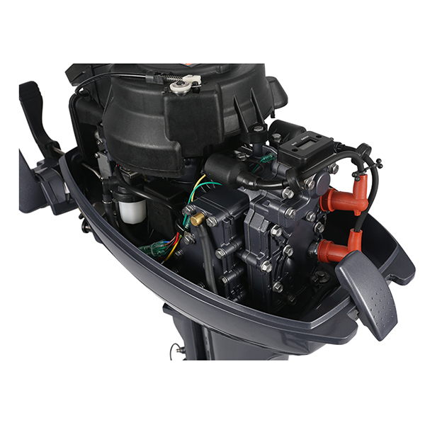 ЛОДОЧНЫЙ МОТОР ALLFA CG Т9,9 Limit в Шахтах