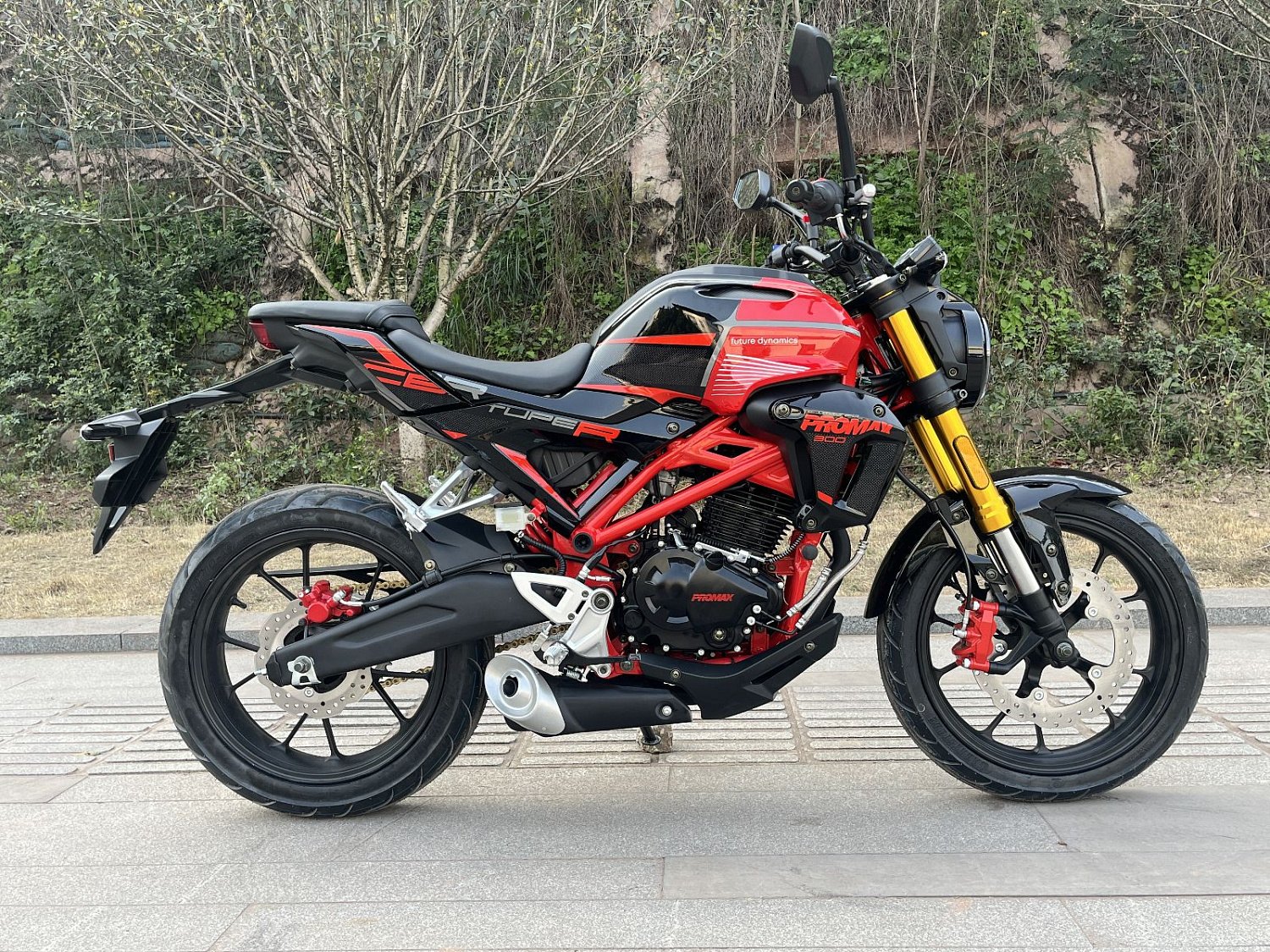 Мотоцикл PROMAX CB300 в Шахтах