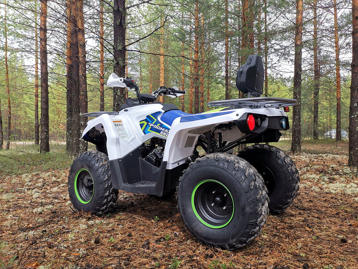 Квадроцикл PROMAX RENEGADE 280 (2025) в Шахтах