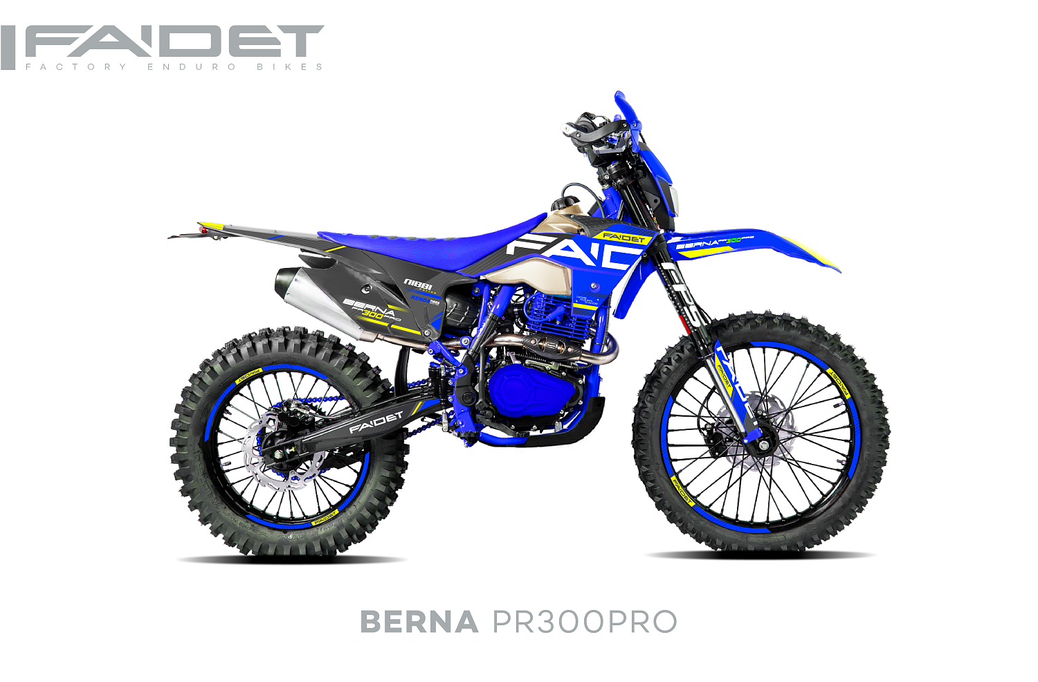 Кроссовый мотоцикл FAIDET BERNA PR300-PRO FPS в Шахтах