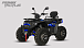 Квадроцикл PROMAX TAURUS 300 MAX-PRO LONG в Шахтах