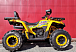 Квадроцикл PROMAX STORM 280 LUX в Шахтах