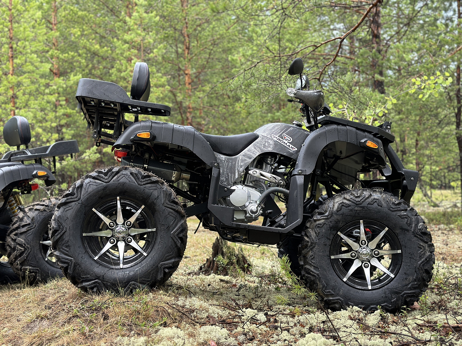 Квадроцикл PROMAX 320 DOMINATOR (2025) в Шахтах