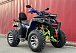  Квадроцикл PROMAX ATV 250 MAX (2025) в Шахтах